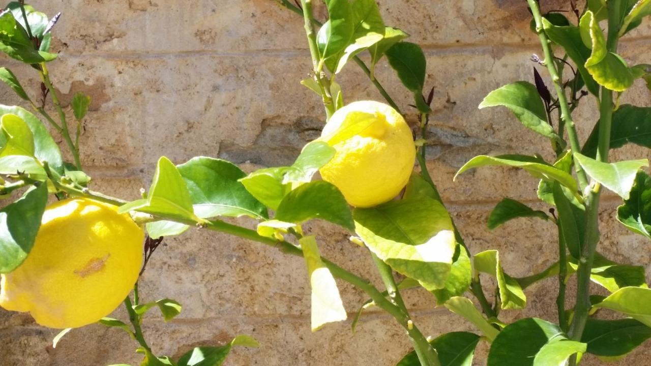 Norton Summit Morialta Barns B&B 외부 사진
