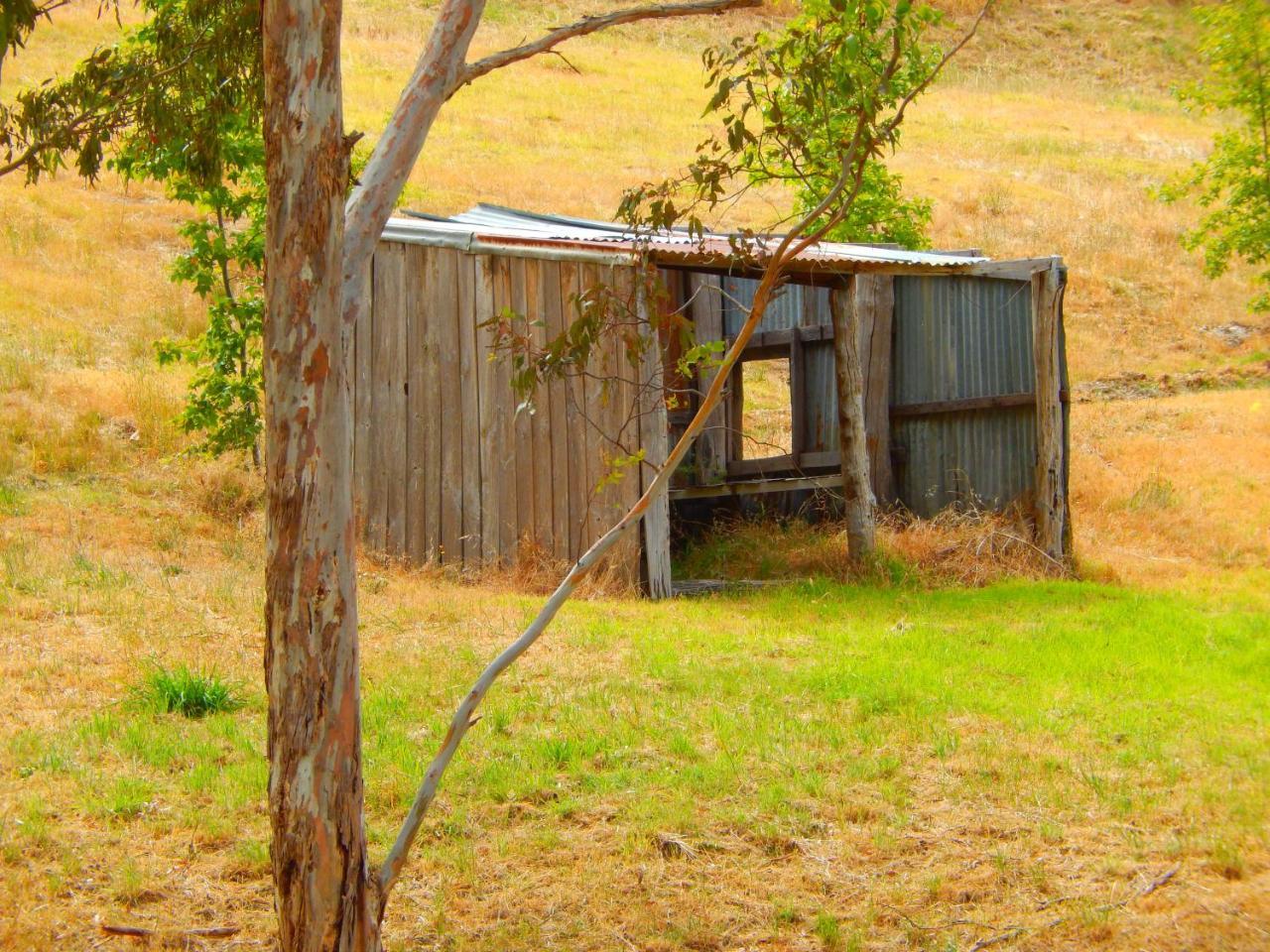 Norton Summit Morialta Barns B&B 외부 사진